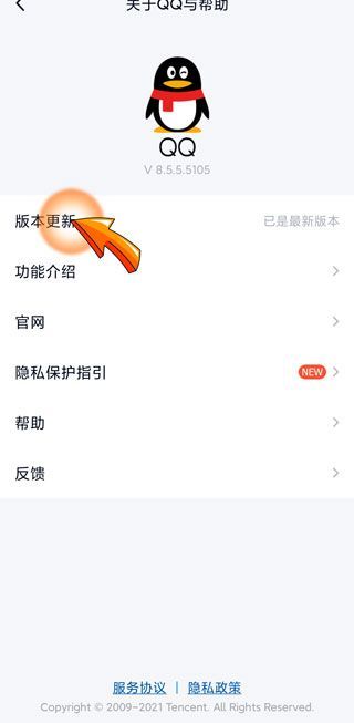 qq群主怎么转让不了指定的人